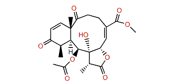 Briarenol O